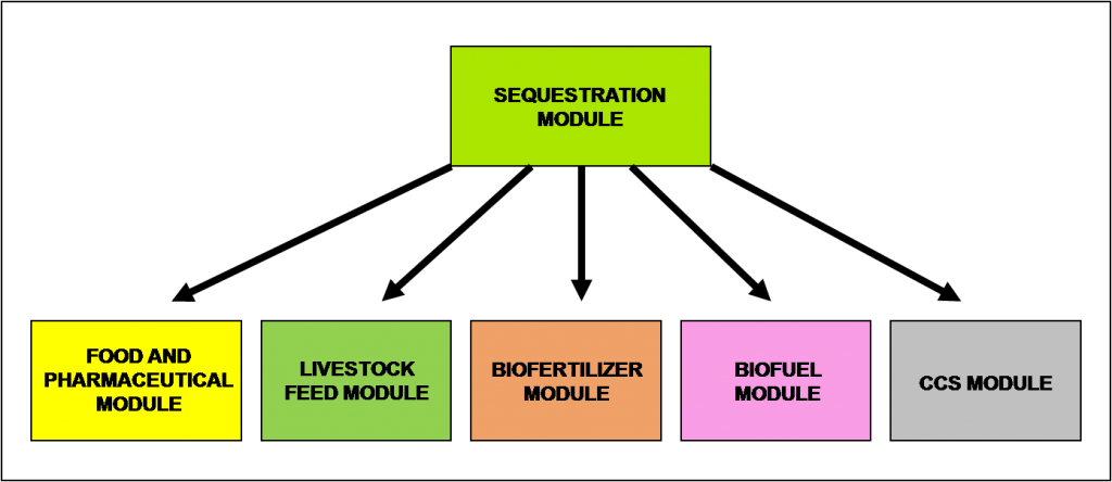 Azolla biosystem modules2